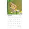 BrownTrout; Butterflies | 2027 12 x 24 Inch (Hanging) Monthly Square Wall Calendar | Plastic-Free; Category:Wall Calendars; Image:4